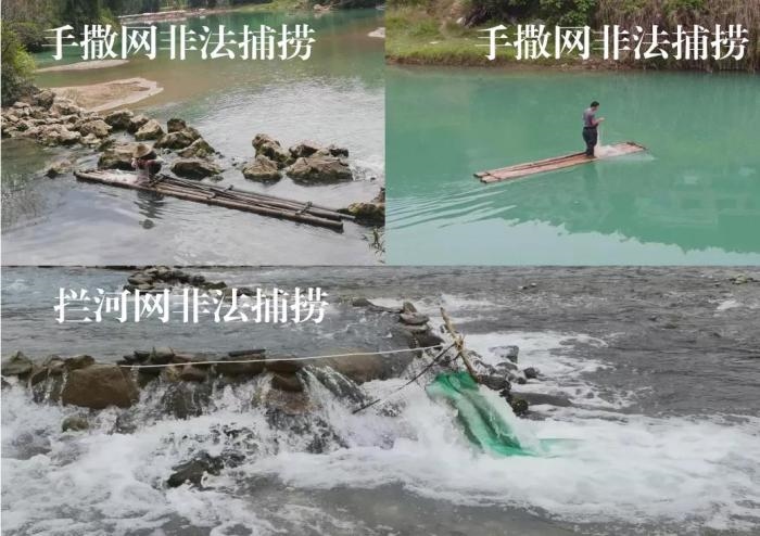 2021年9—10月，前期暗查發(fā)現(xiàn)，保護(hù)區(qū)核心區(qū)內(nèi)非法捕撈行為十分猖獗