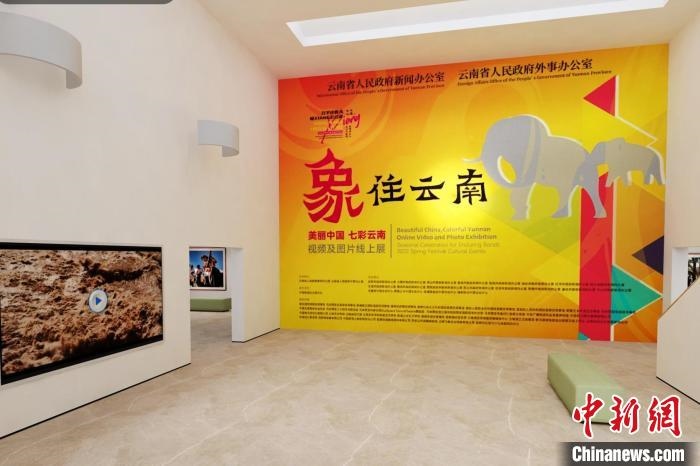 圖為“象”往云南——美麗中國 七彩云南視頻及圖片線上展截圖?！『h(yuǎn)航 攝