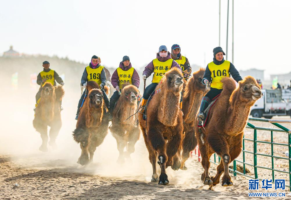 3月7日，賽駝手在6000米成年駱駝場地速度賽比賽中。.jpg