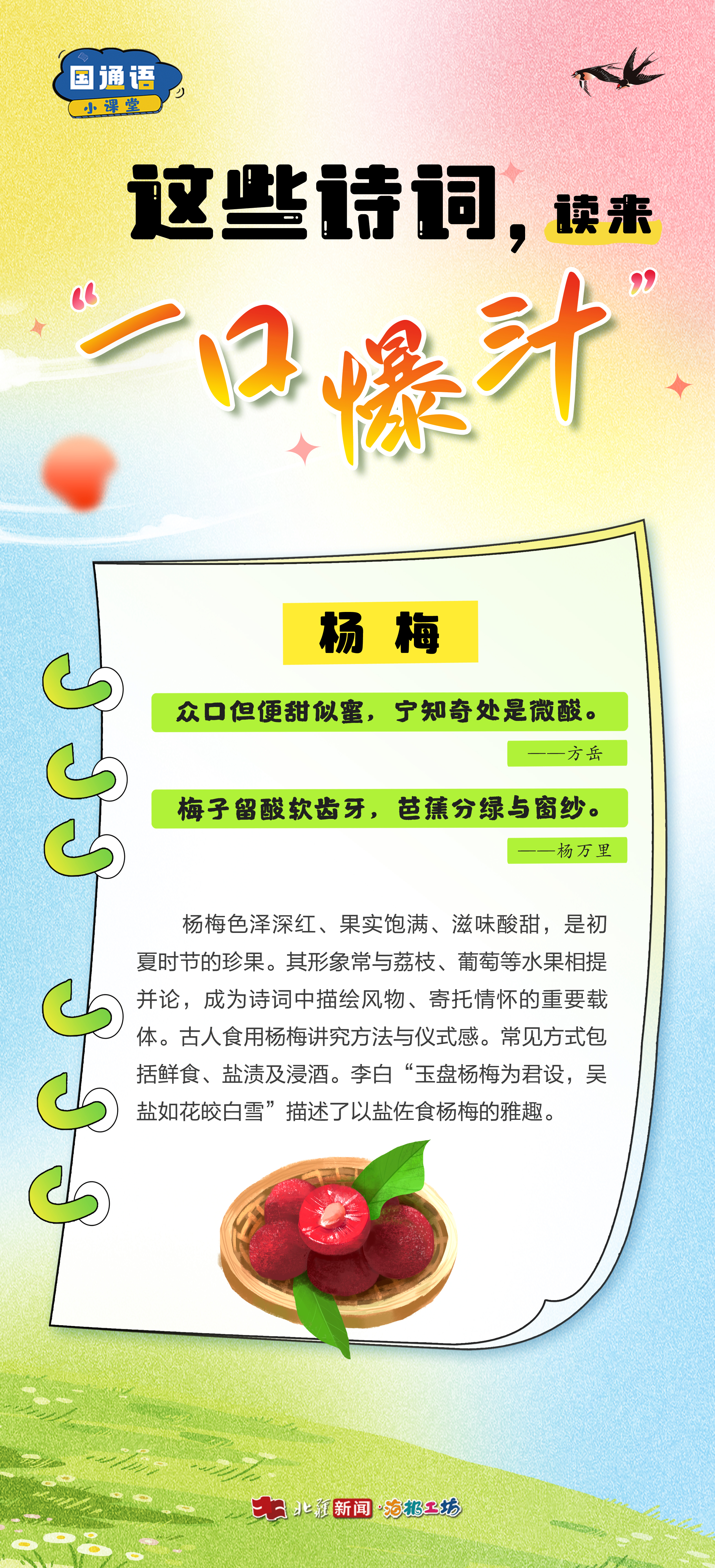 楊梅.jpg