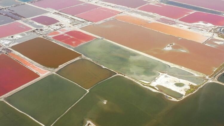 鑒往知來，跟著總書記學(xué)歷史丨走進(jìn)一座博物館，尋根五千年中華文明