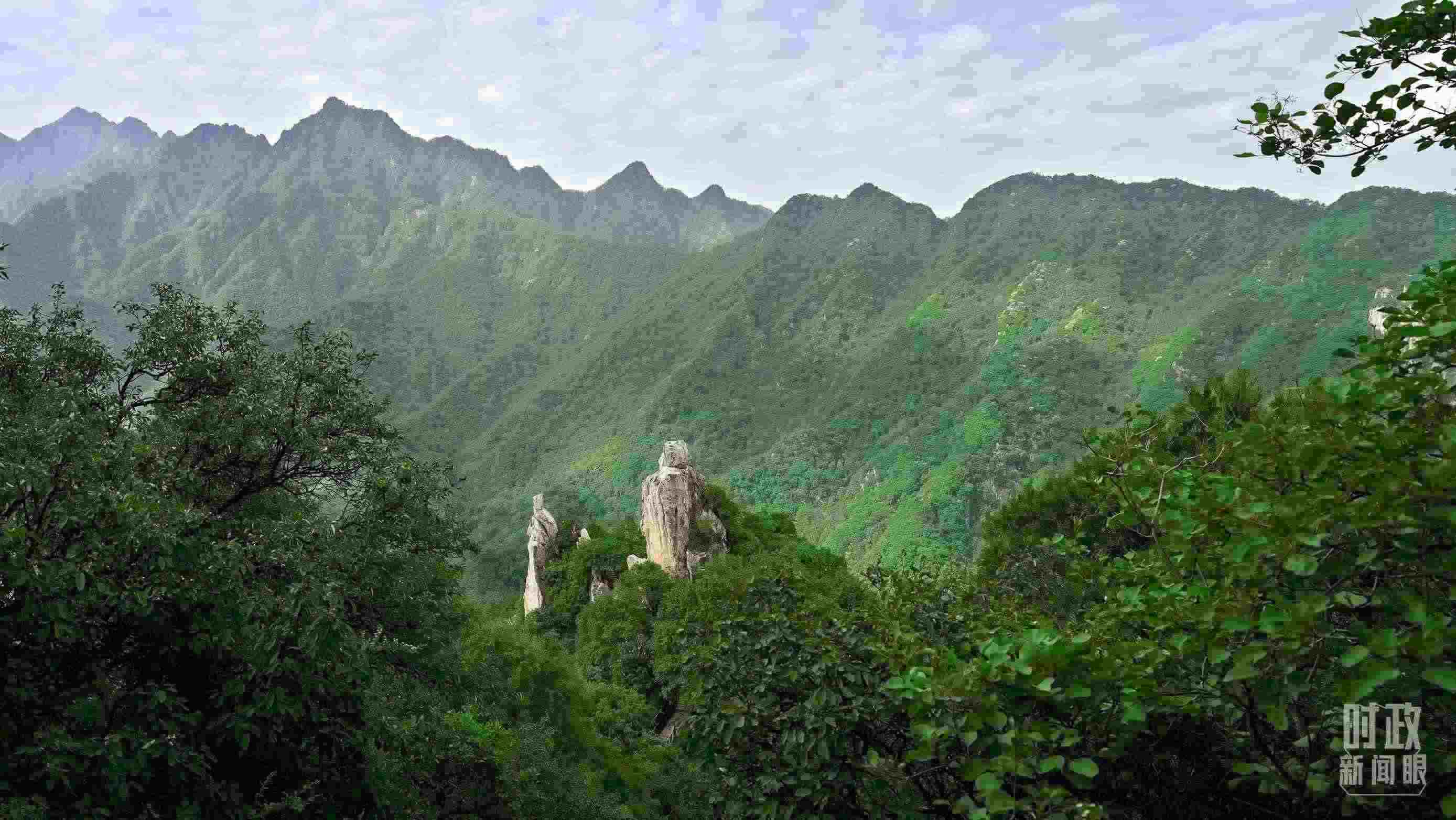 △秦嶺。（圖／視覺中國）