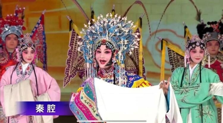 時(shí)政微觀察丨石榴花開的時(shí)節(jié)