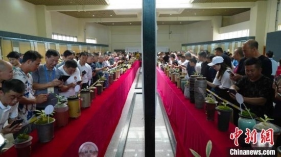 圖為活動(dòng)現(xiàn)場(chǎng)。 云南省委臺(tái)辦供圖