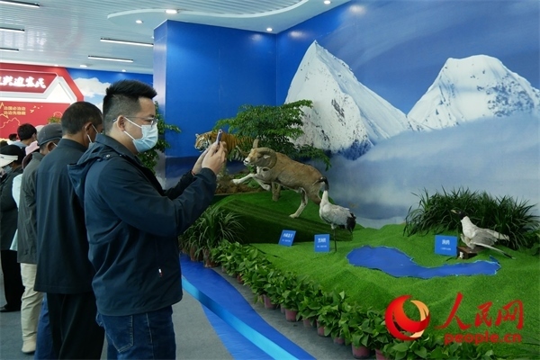 6月17日，觀眾正在觀展。人民網(wǎng) 韋衍行攝