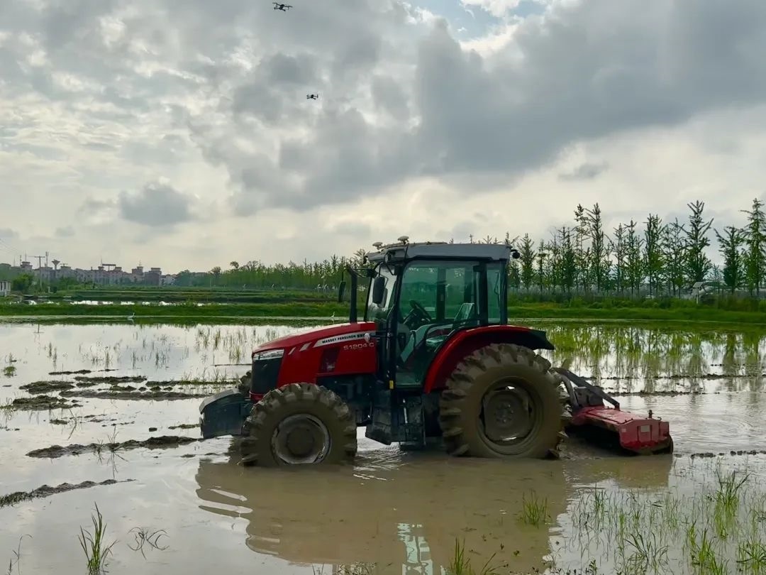 浙江省金華市東陽市城東街道寀盧村的一臺無人駕駛耕地機。靜玄 攝