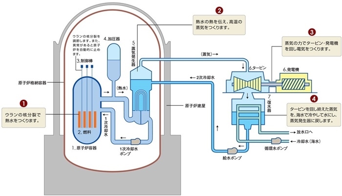 核電站運(yùn)作原理圖。通常的核電站排水未直接接觸核燃料。（圖片來源：日本北海道電力株式會(huì)社網(wǎng)站）