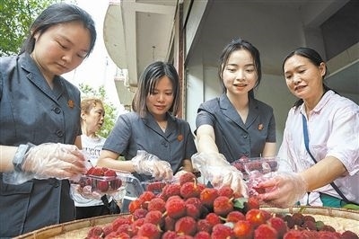志愿者和村民一起將摘下的楊梅裝進(jìn)食品盒里。