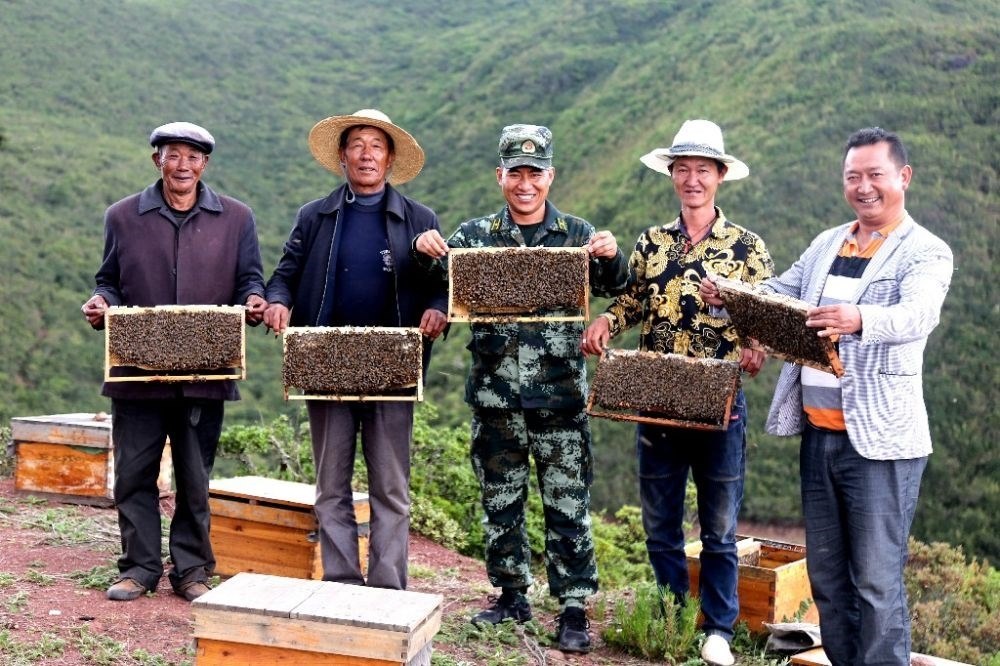 ↑武警四川總隊(duì)涼山支隊(duì)精準(zhǔn)幫扶昭覺縣梭梭拉打村發(fā)展養(yǎng)蜂產(chǎn)業(yè)，總隊(duì)駐村扶貧干部布哈（中）和村民一同展示豐收成果（2019年6月12日攝）。新華社發(fā)（楊劍 攝）