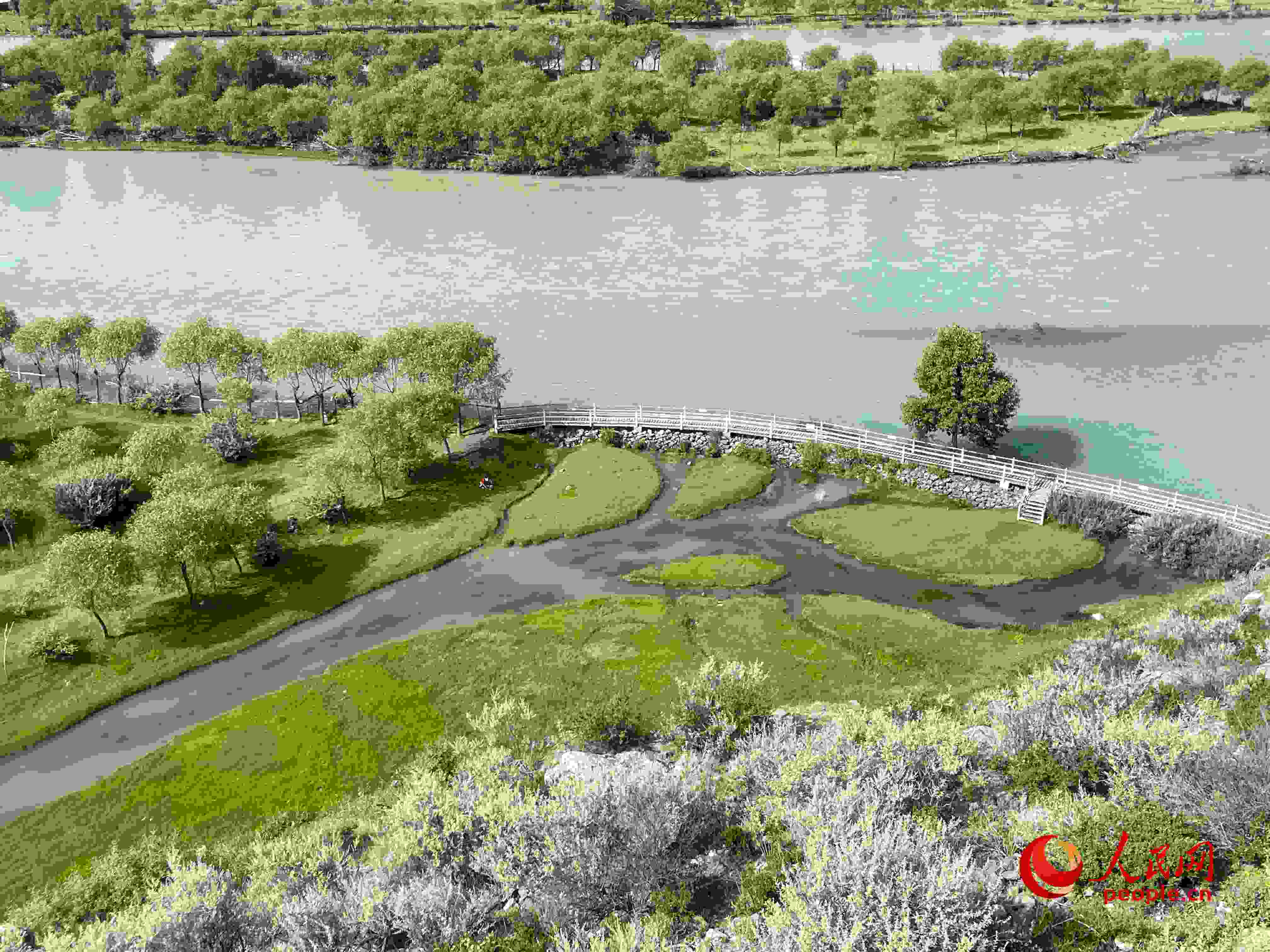 夏日的雅尼國家濕地公園生機盎然，如詩如畫。人民網(wǎng) 周靜圓攝