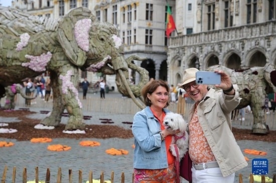 8月11日，觀眾在比利時(shí)布魯塞爾“鮮花時(shí)光”展覽上拍照。新華社記者 趙丁喆攝