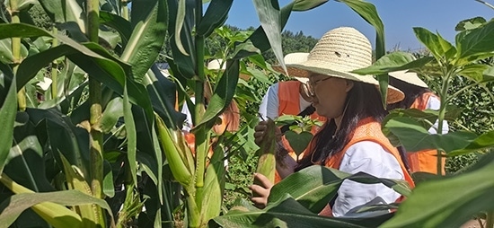 北京工商大學組織學生開展暑期社會實踐。學校供圖