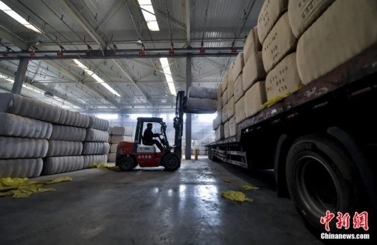 新疆喀什綜合保稅區(qū)，喀什啟路國際貿易有限公司的倉庫內，工人正在裝載從塔吉克斯坦和烏茲別克斯坦進口的棉花。劉新攝