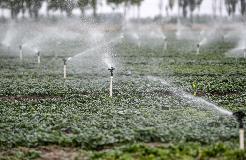 2023年5月25日，在寧夏銀川市永寧縣望洪鎮(zhèn)宋澄村冷涼蔬菜種植基地，小型噴灌節(jié)水設備在進行噴灌作業(yè)。新華社記者 馮開華 攝