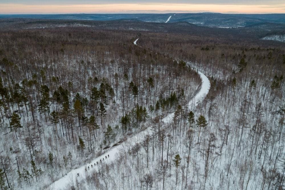 △2023年1月，漠河林場(chǎng)數(shù)十名職工自發(fā)組成的森林撫育隊(duì)伍，在人跡罕至的山林中作業(yè)。