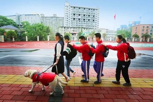 賈君婷仙送同學(xué)到校門(mén)口 彭學(xué)平攝