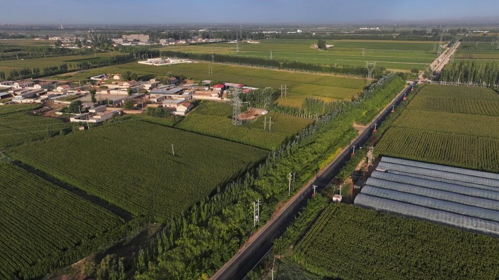 東興村周邊建起防護林網(wǎng)（無人機照片，2023年9月12日攝）。新華社記者李云平 攝