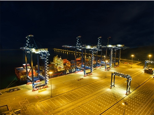 萊基港實(shí)行7×24小時(shí)裝卸作業(yè)機(jī)制。受訪者供圖