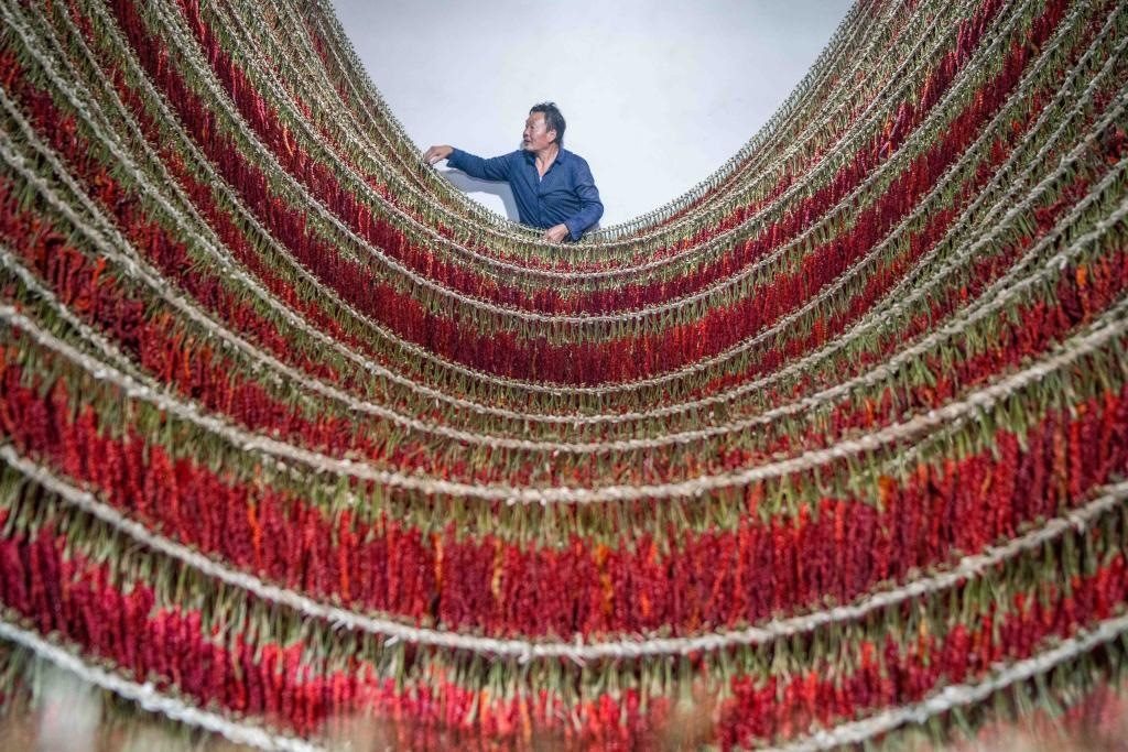 在貴州省畢節(jié)市大方縣理化鄉(xiāng)金雞村，村民查看辣椒烘干情況。新華社發(fā) 羅大富攝