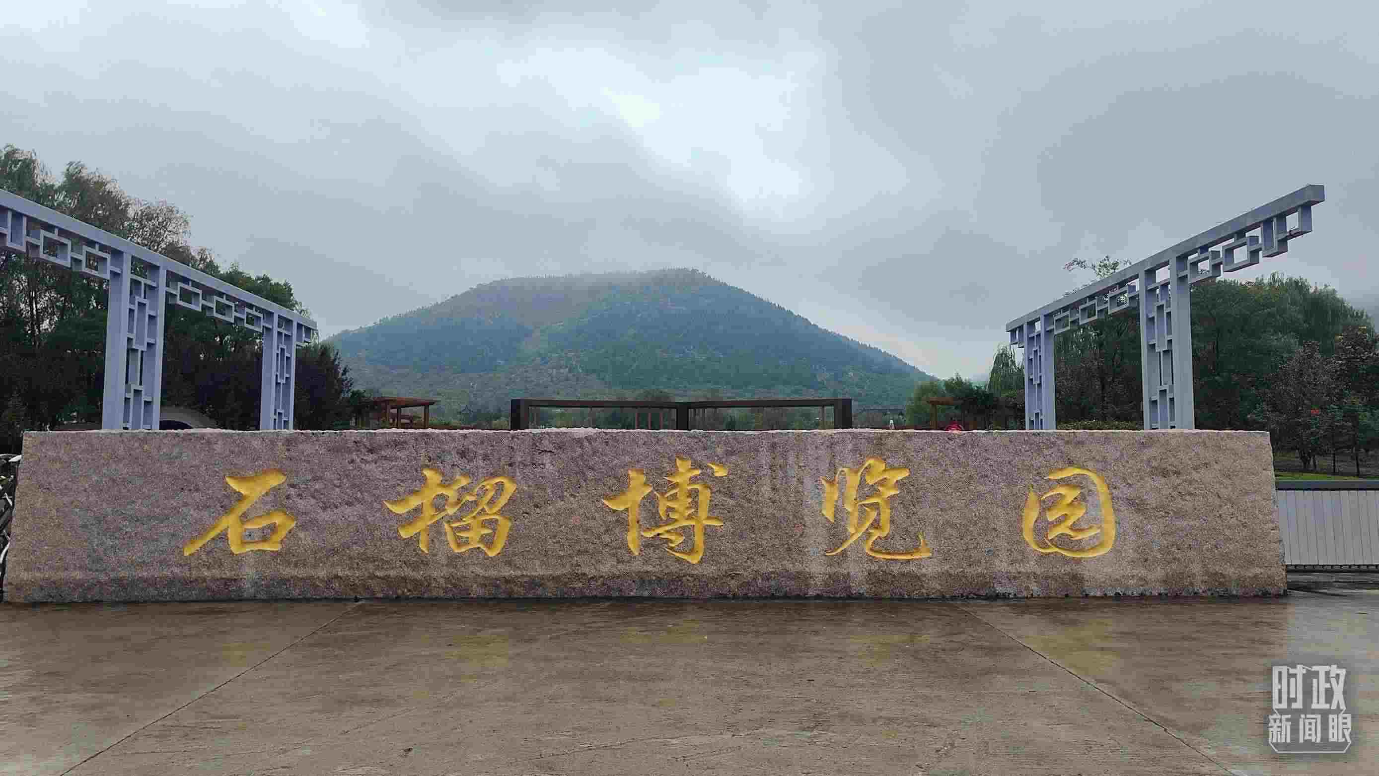 △石榴種質(zhì)資源庫位于石榴博覽園內(nèi)。（總臺央視記者楊立峰拍攝）