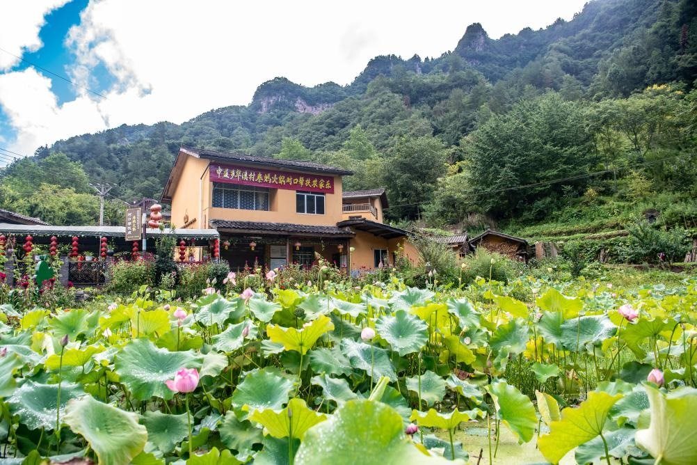 這是8月28日拍攝的華溪村村民開設(shè)的農(nóng)家樂外景。新華社記者 唐奕 攝