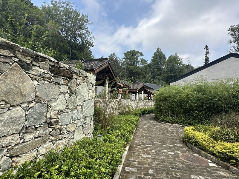 眾多民宿坐落于夫子山山麓。人民網(wǎng) 王紹紹攝