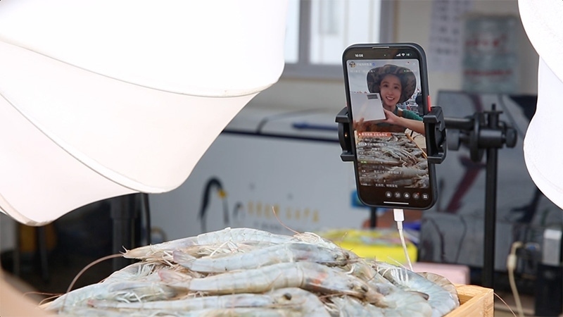 江蘇連云港，村民進(jìn)行直播銷售。范堯攝