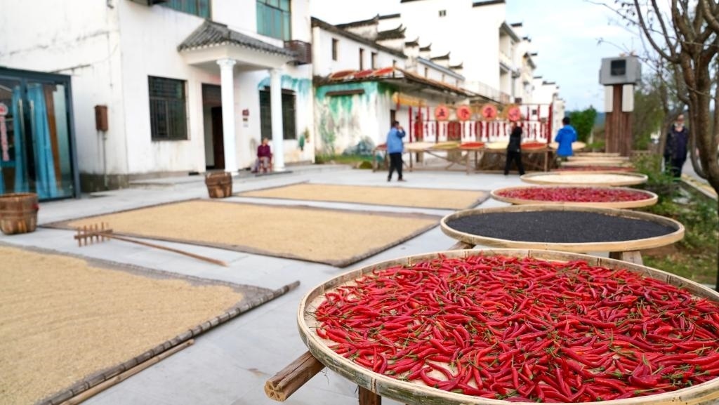 近日拍攝的江西省上饒市婺源縣秋口鎮(zhèn)王村石門自然村。新華社記者 胡晨歡 攝