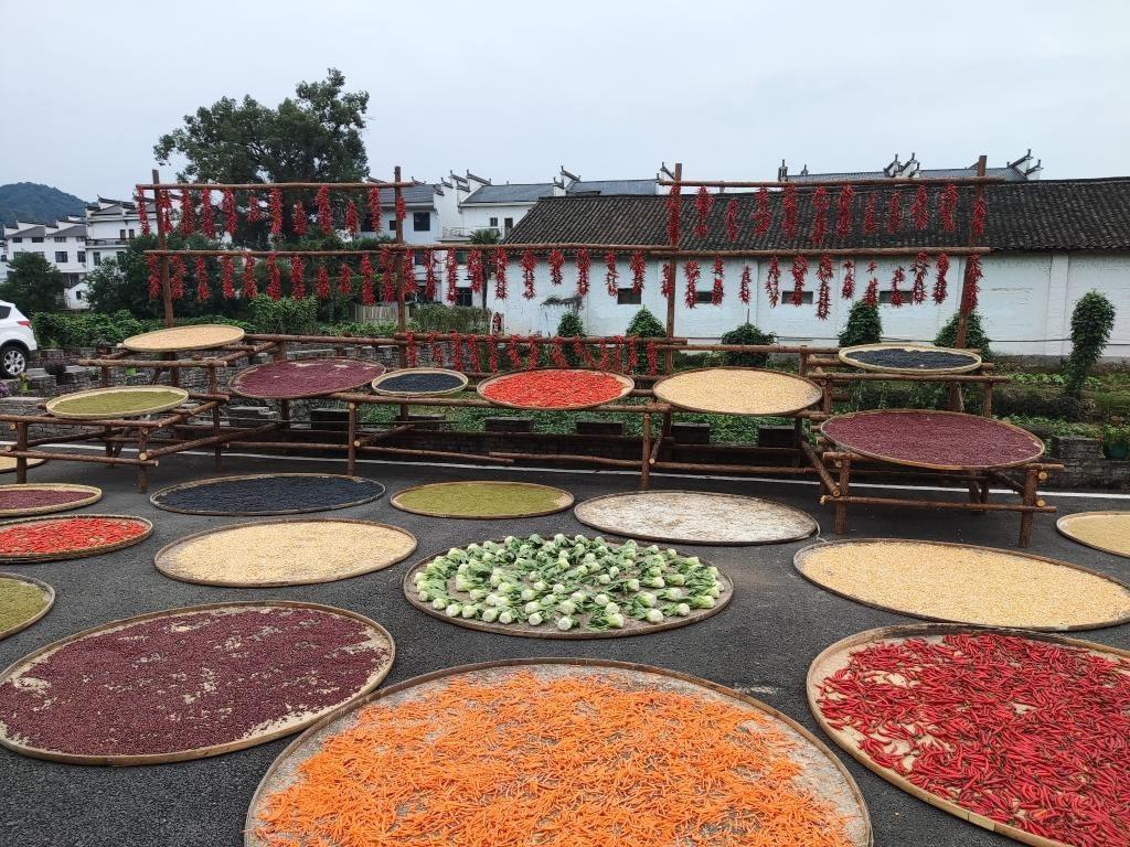 近日，江西省上饒市婺源縣秋口鎮(zhèn)王村村民晾曬的農作物。新華社記者 劉佳敏 攝