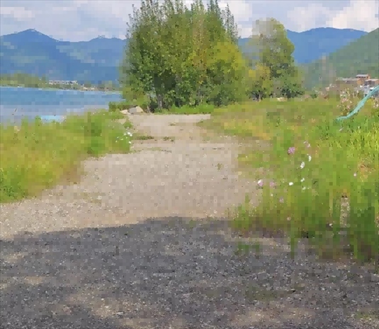 王軍所說被填區(qū)域。 人民網記者 黃鈺攝