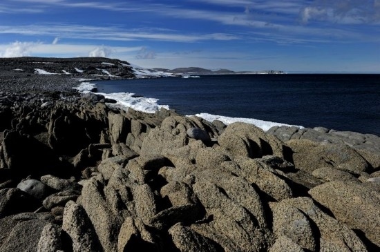 羅斯海恩克斯堡島的夏季風(fēng)光。新華社記者 張建松 攝