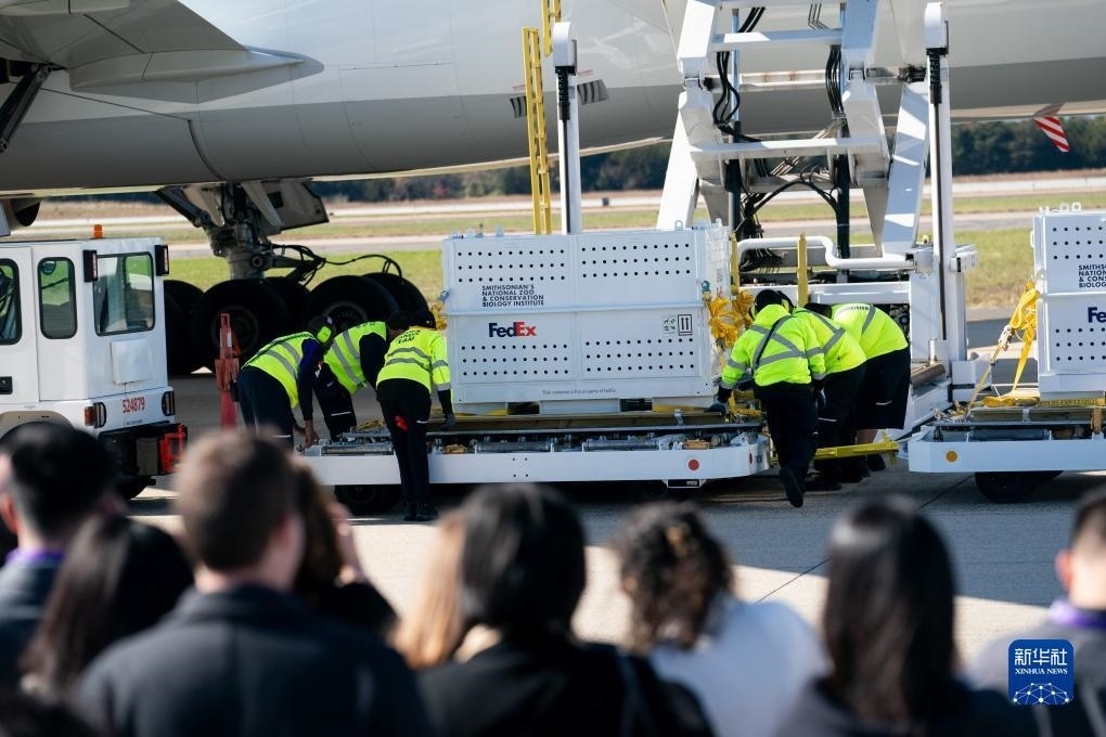 11月8日，在美國弗吉尼亞州的華盛頓杜勒斯國際機場，裝有大熊貓的特制“旅行包廂”準備運上專機。新華社記者劉杰攝