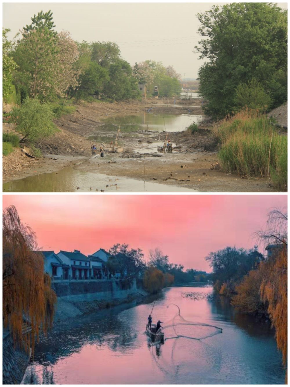 江蘇省揚(yáng)州市江都區(qū)明清運(yùn)河故道整治前后。（上圖：2012年；下圖：2020年）（孫友定 攝）