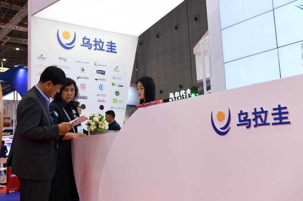 2019年11月6日，參觀者在第二屆進博會烏拉圭國家館展臺咨詢。