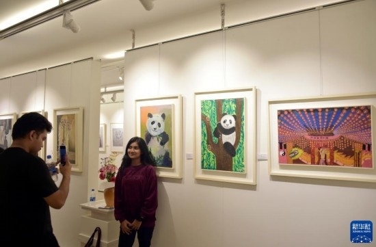 11月22日，在孟加拉國達卡，人們在“國家印象”繪畫展上參觀拍照。新華社發(fā)（薩利姆攝）