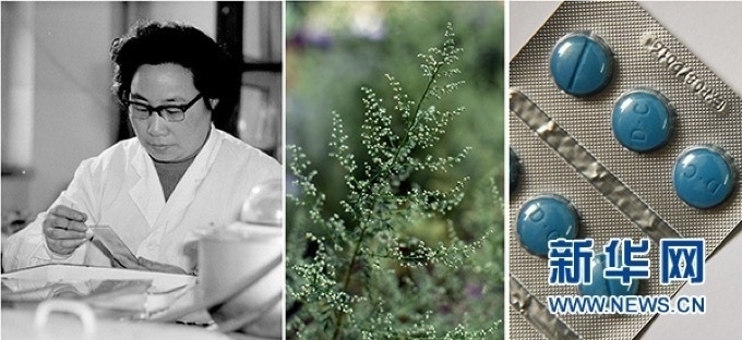 屠呦呦、青蒿和抗瘧疾成藥（拼版資料照片）
