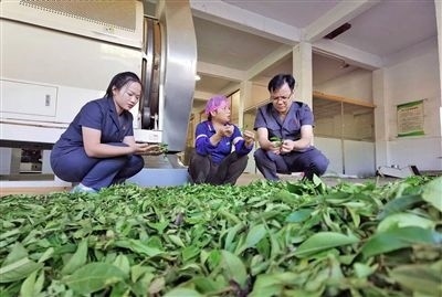  圖③：蒼梧法院六堡法庭法官深入茶企了解企業(yè)生產(chǎn)經(jīng)營情況。