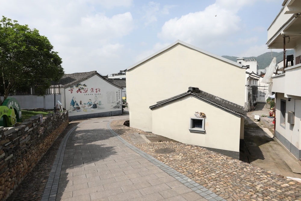 浙江省義烏市李祖村一景（2023年5月23日攝）。新華社記者 杜瀟逸 攝