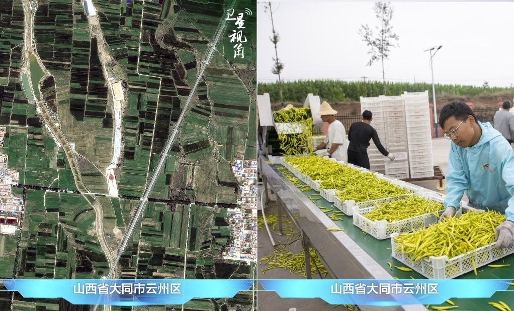 當(dāng)前，大同市開發(fā)黃花菜品、食品、飲品、功能食品、化妝品、文創(chuàng)產(chǎn)品六大系列130余種，全產(chǎn)業(yè)鏈產(chǎn)值超40億元。