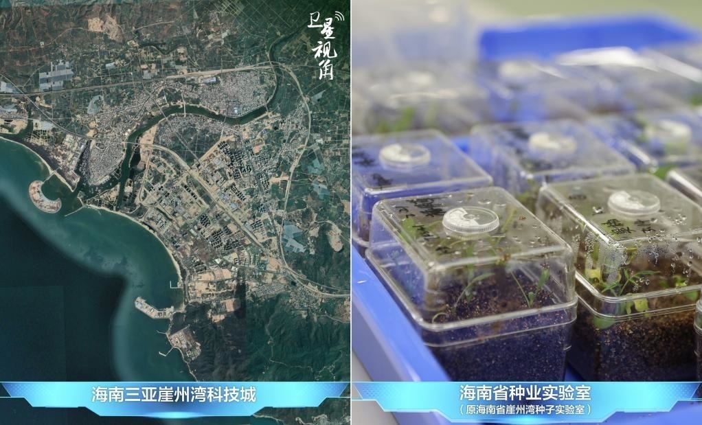 位于三亞崖州灣科技城的海南省種業(yè)實(shí)驗(yàn)室（原海南省崖州灣種子實(shí)驗(yàn)室）將形成輻射全國(guó)和“一帶一路”沿線國(guó)家的種子科學(xué)技術(shù)創(chuàng)新中心。