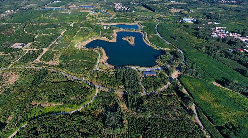 這是2022年9月6日拍攝的雄安新區(qū)“千年秀林”。