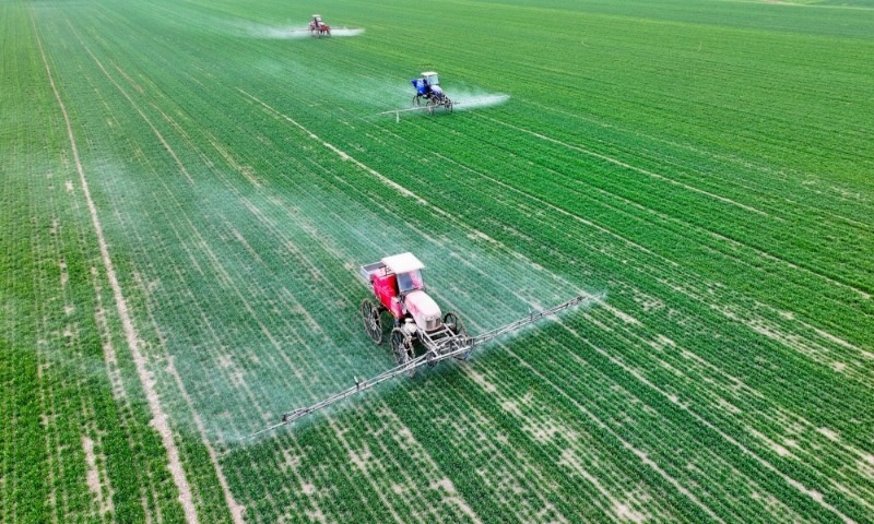2024年2月18日，安徽省亳州市，利辛縣紀(jì)王場鄉(xiāng)孫老家村麥田，農(nóng)民駕駛自走式高桿噴霧機(jī)對小麥進(jìn)行噴藥作業(yè)。