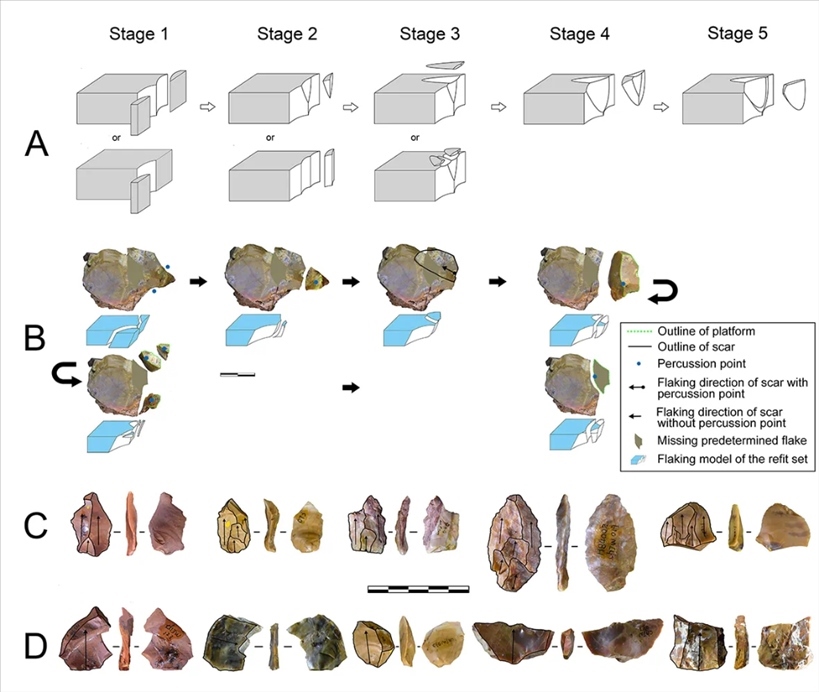 岑家灣遺址“準(zhǔn)備石核技術(shù)”及相關(guān)石制品。（受訪單位供圖）