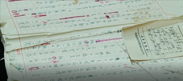 曲波《林海雪原》手稿。主辦方供圖