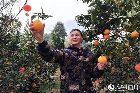 鐵牛村村民趙光進(jìn)。人民網(wǎng)記者 朱虹攝