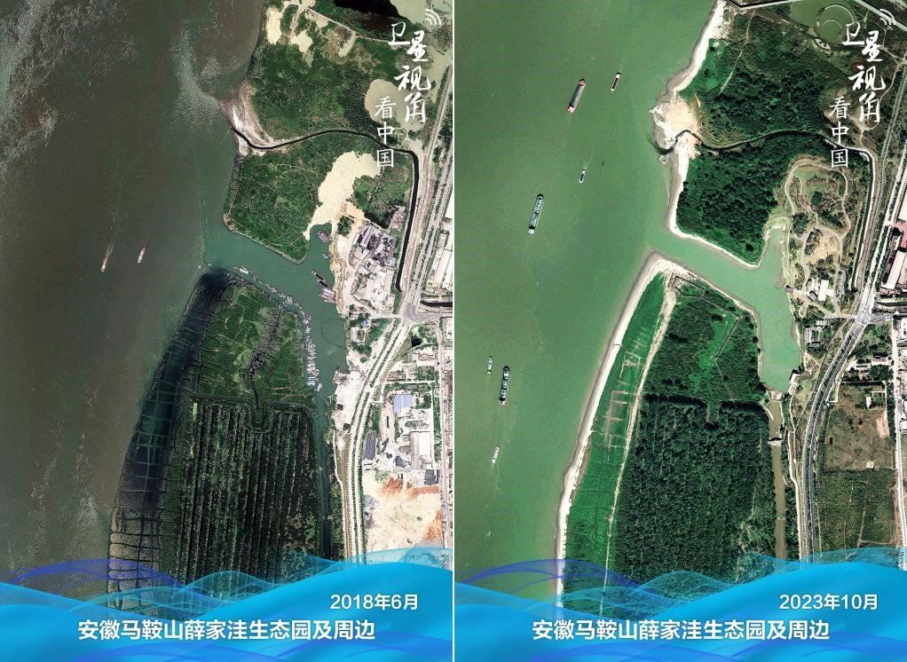 經(jīng)過整治后的安徽馬鞍山薛家洼生態(tài)園生機盎然。