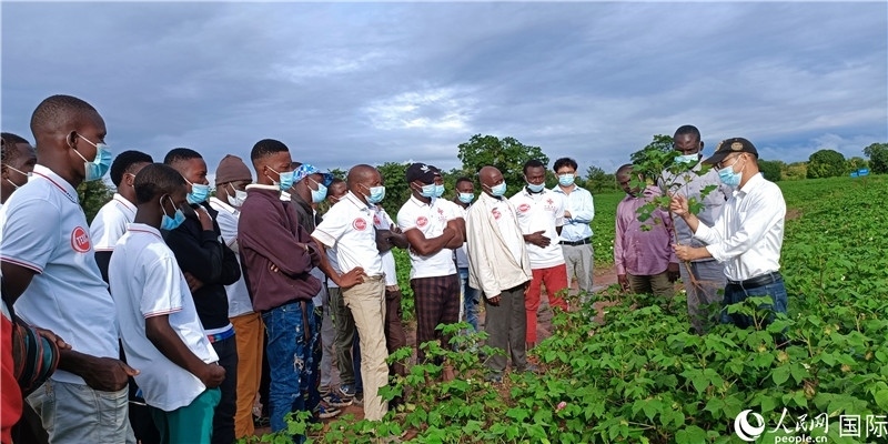 項目組長首小勇向當?shù)孛揶r做技術講解。人民網記者 黃培昭攝