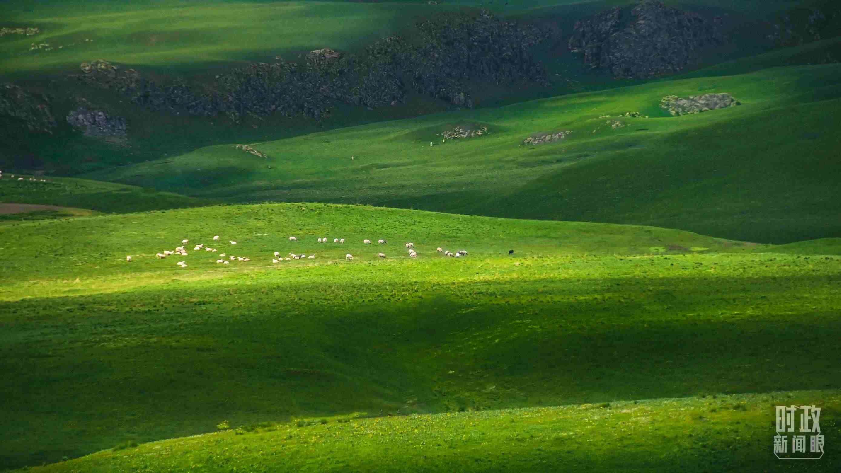 △祁連山草原光影。（圖/視覺中國）