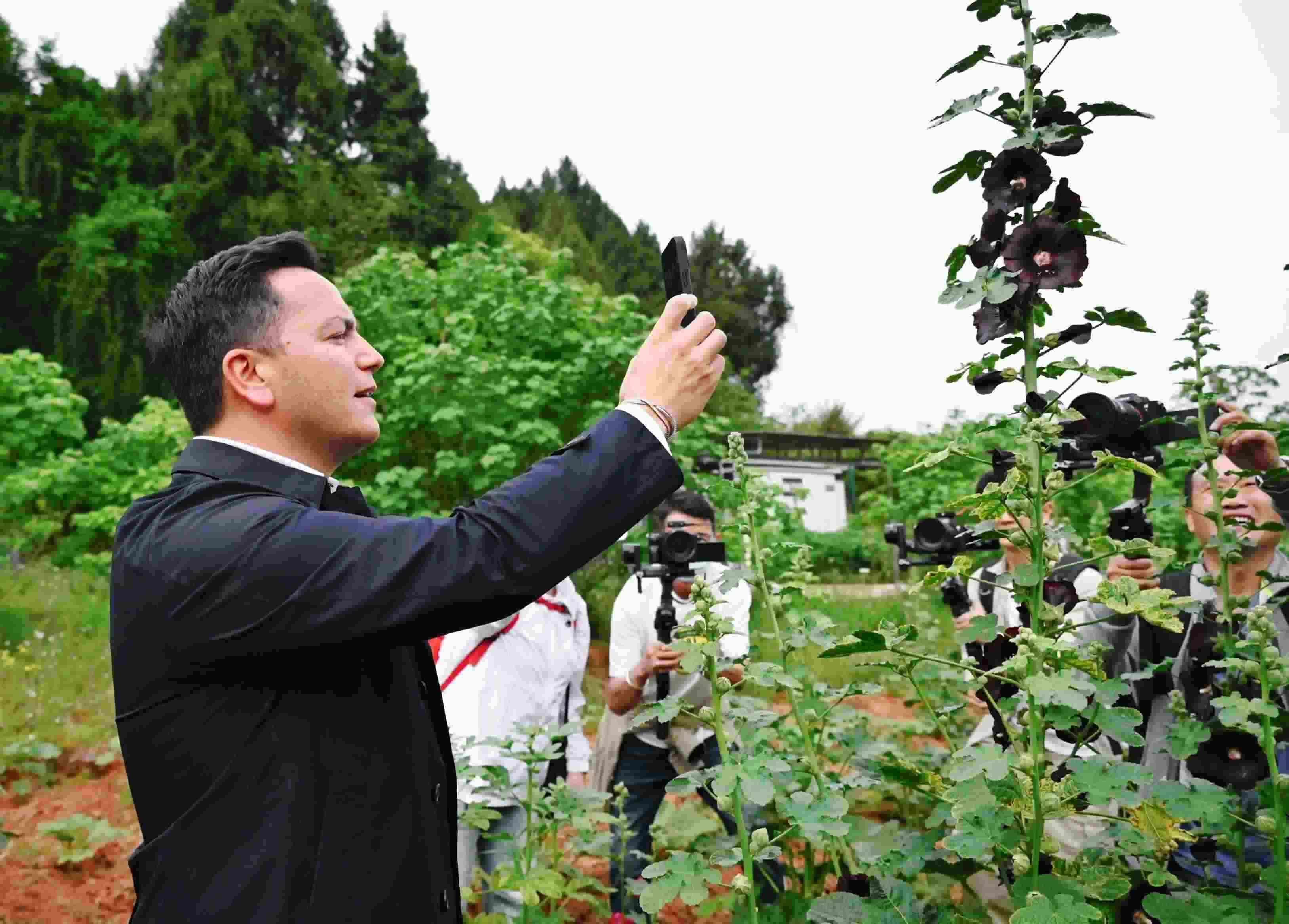  △2024年4月23日，國(guó)際園藝生產(chǎn)者協(xié)會(huì)主席萊昂納多·卡皮塔尼奧在成都市金堂縣鮮花山谷景區(qū)考察蜀葵產(chǎn)業(yè)。