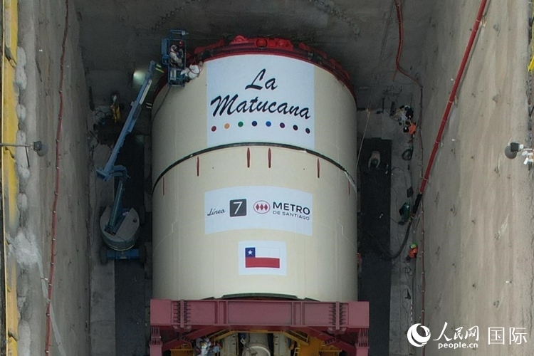 質(zhì)構(gòu)機(jī)全景。陳露明攝